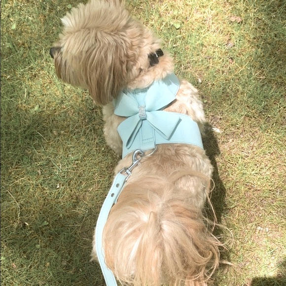 Other - TIFFANY BLUE BLING NO PULL HARNESS AND LEASH SET